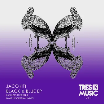 Black & Blue by Jaco (IT)