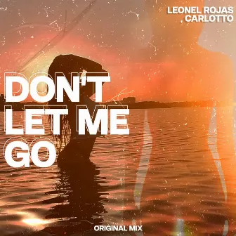 Don't Let Me Go (Original Mix) by Unknown Artist