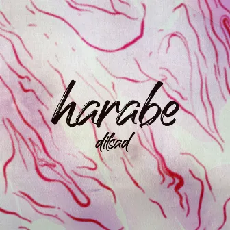 Harabe by Dilsad