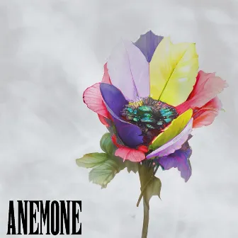 ANEMONE by O-JEE