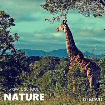 Nature by DJ Mavu