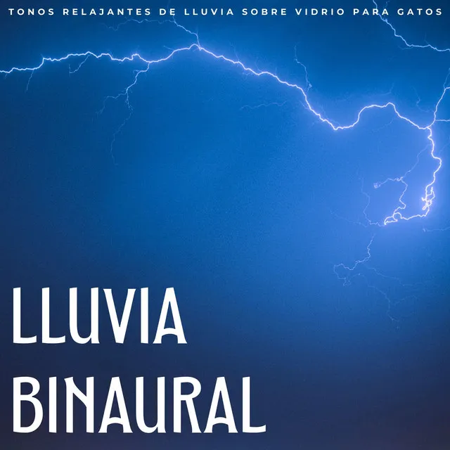 Lluvia Binaural: Tonos Relajantes De Lluvia Sobre Vidrio Para Gatos