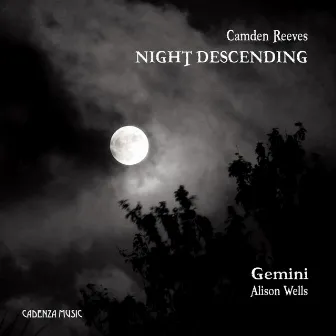 Night Descending by Alison Wells