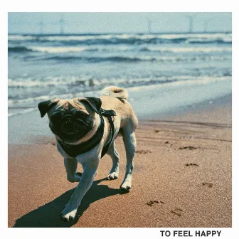 To Feel Happy by Ronnie Pacitti