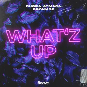 What'z Up by Bromage