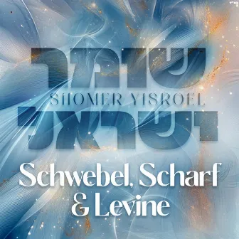 Shomer Yisroel - שומר ישראל by Dov Levine