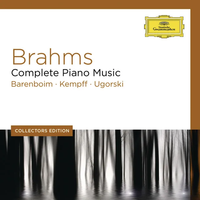 Partita For Violin Solo No. 2 In D Minor, BWV 1004 (Transcr. For Piano Left-Hand By Johannes Brahms Anh.1a/1): Chaconne