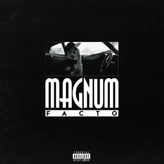 Magnum by Facto