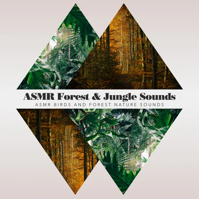 ASMR Forest & Jungle Sounds