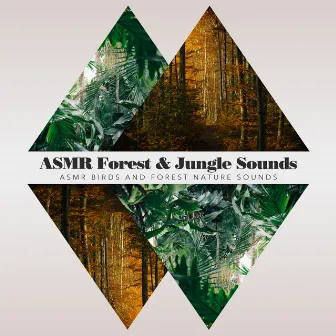 ASMR Forest & Jungle Sounds by ASMR Birds and Forest Nature Sounds