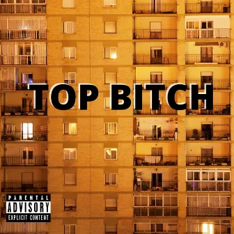 Top Bitch by Nolay