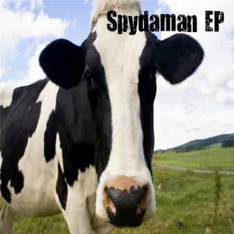 Spydaman by Spydaman