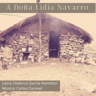 A Doña Lidia Navarro by Federico García Hamilton