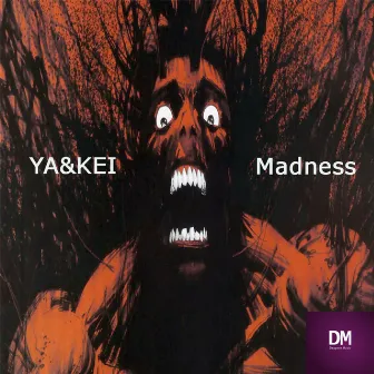 Madness by Ya&Kei