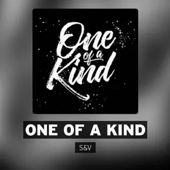 One Of A Kind by SV816