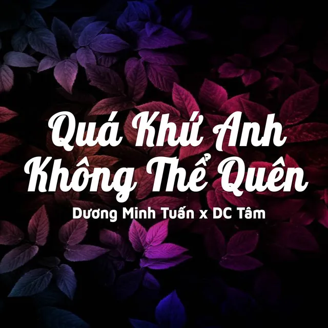 Quá Khứ Anh Không Thể Quên (Qinn Remix)