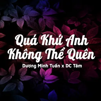 Quá Khứ Anh Không Thể Quên (Qinn Remix) by Duong Minh Tuan