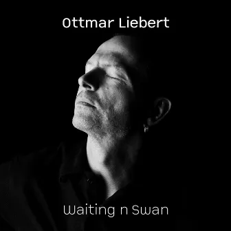 Waiting 'n' Swan by Ottmar Liebert