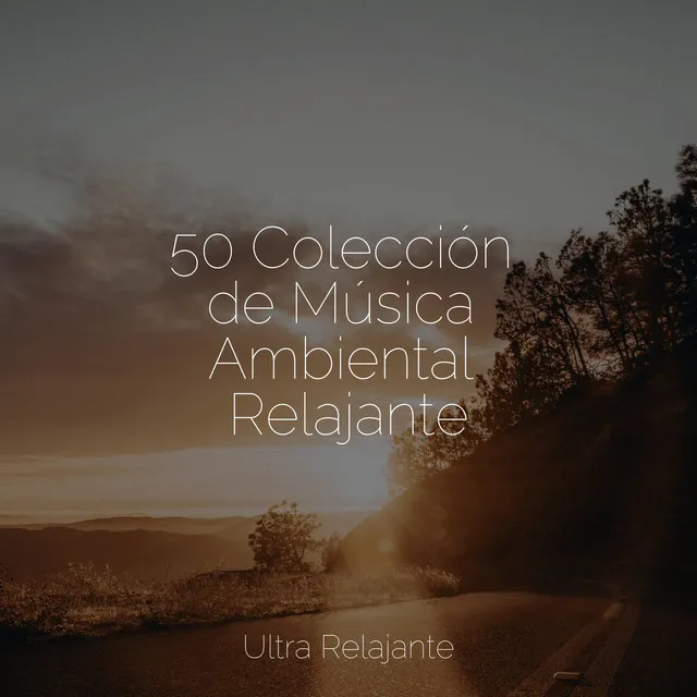 50 Colección de Música Ambiental Relajante