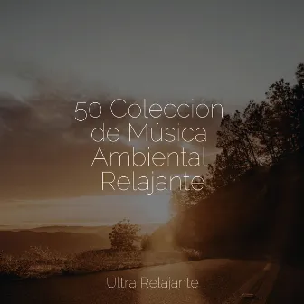 50 Colección de Música Ambiental Relajante by Música relajante con sonidos de la naturaleza