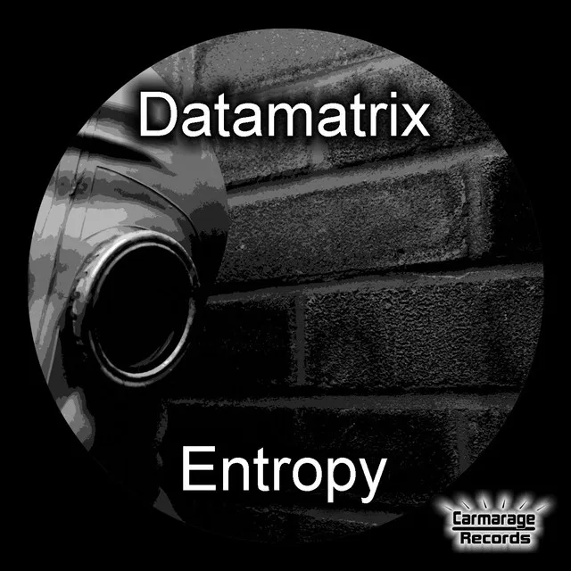 Entropy