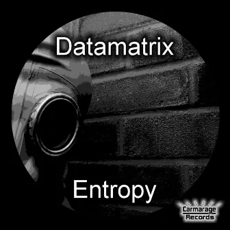 Entropy by Datamatrix