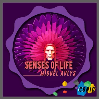 Senses of Life by Miguel Avlys