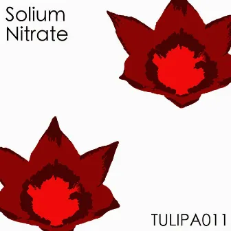 Nitrate by Solium