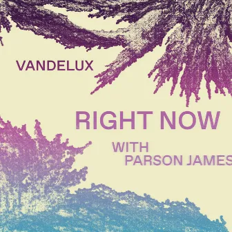 Right Now (with Parson James) by Vandelux