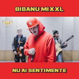 Nu Ai Sentimente by Bibanu MixXL