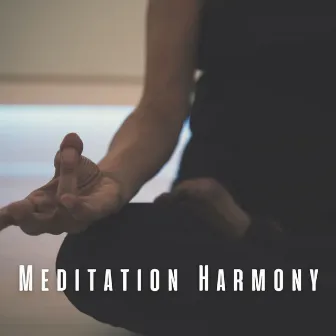 Meditation Harmony: Chill Music for Contemplation by The Meditations