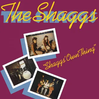 Shaggs' Own Thing by The Shaggs