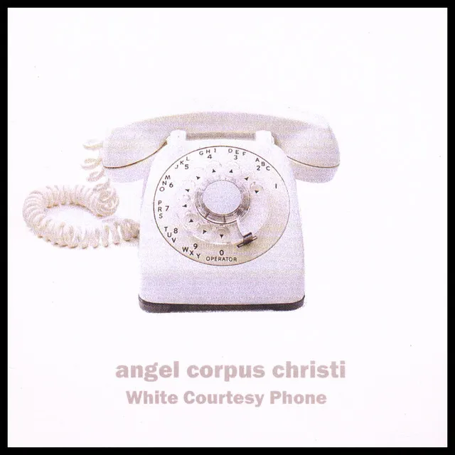 White Courtesy Phone