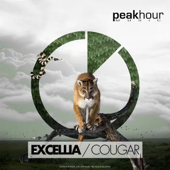 Cougar by Excellia