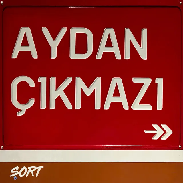 Yalnızmışım Aslında