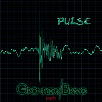 Pulse by Grönroos & Bravo