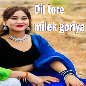 Dil tore milek goriya by Basir Ansari