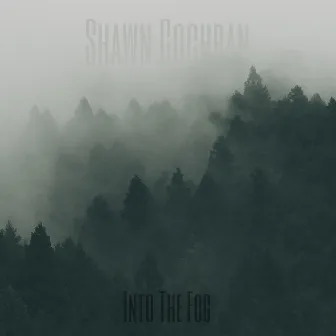 Into The Fog by Shawn Cochran