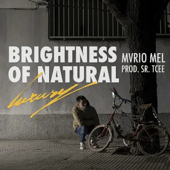 Brightness of Natural Luxury by Mario Mel