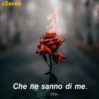 Che ne sanno di me. by Misery