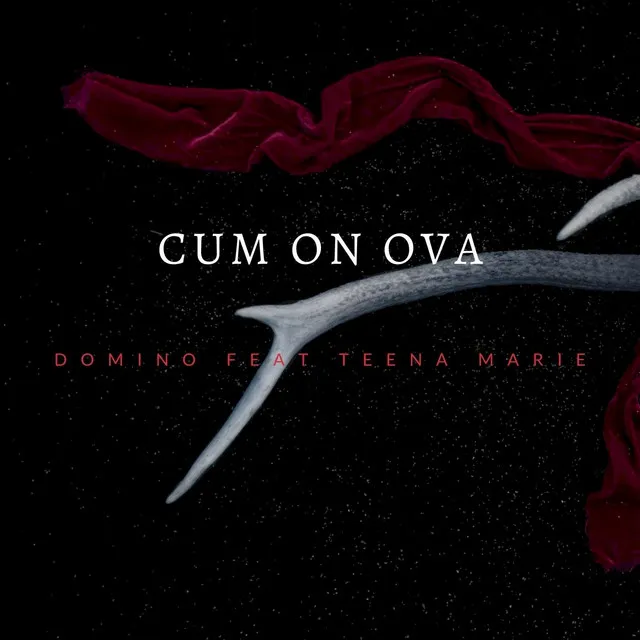 Cum On Ova (feat. Teena Marie)