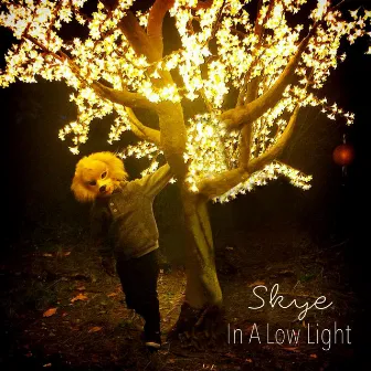 In a Low Light by Skye