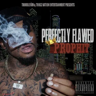 Perfectly Flawed by Trouble Fam Prophit