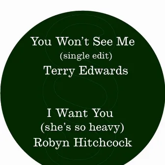 You Won't See Me / I Want You (she's so heavy) by Terry Edwards