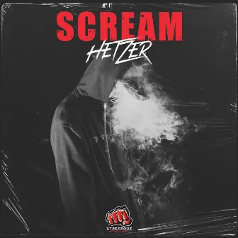 Scream by Hetzer_official