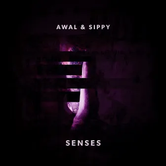 Senses by SIPPY