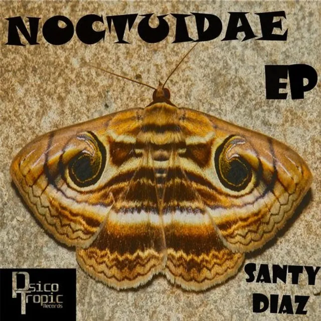 Noctuidae - John Vertel Remix