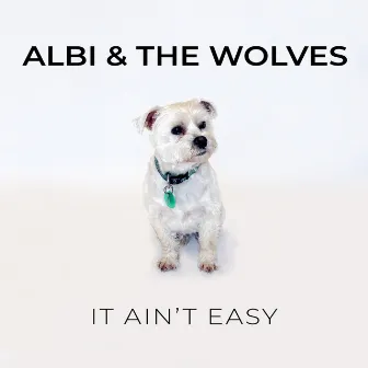 It Ain't Easy by Albi & the Wolves