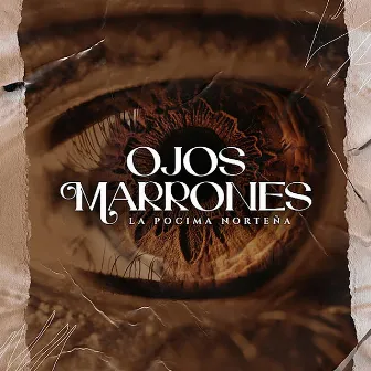 Ojos Marrones by La Pocima Norteña