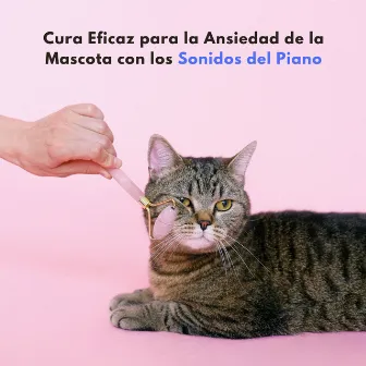 Cura Eficaz Para La Ansiedad De La Mascota Con Los Sonidos Del Piano by 